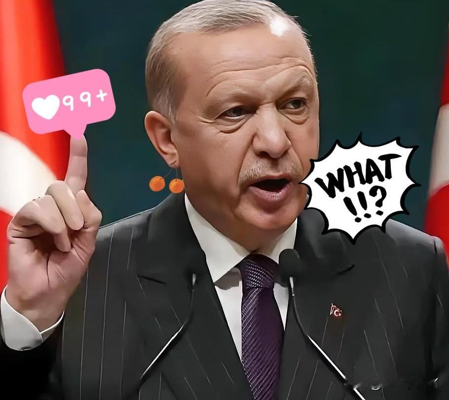 快讯，快讯！土耳其正式发布公告！2025年11月2日，土耳其外交部正式公告