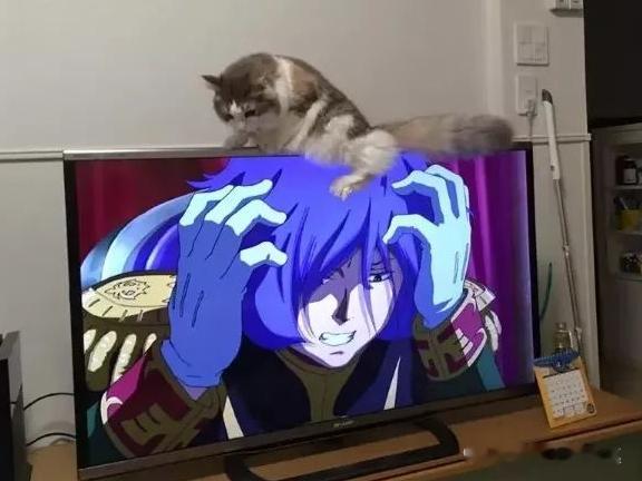 神契合…这猫估计玩上瘾了…​​​
