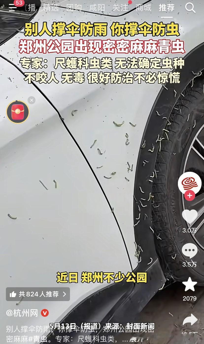 这么多虫，看着都恶心！近日，郑州不少公园内出现大量青虫，有的还垂丝悬挂，看着人
