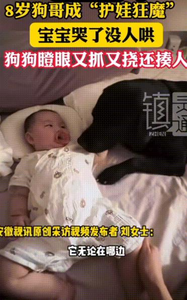 万物皆有灵性！10月13日江苏，宝宝哭了，女子故意坐一边看着不哄，万万没想到下一