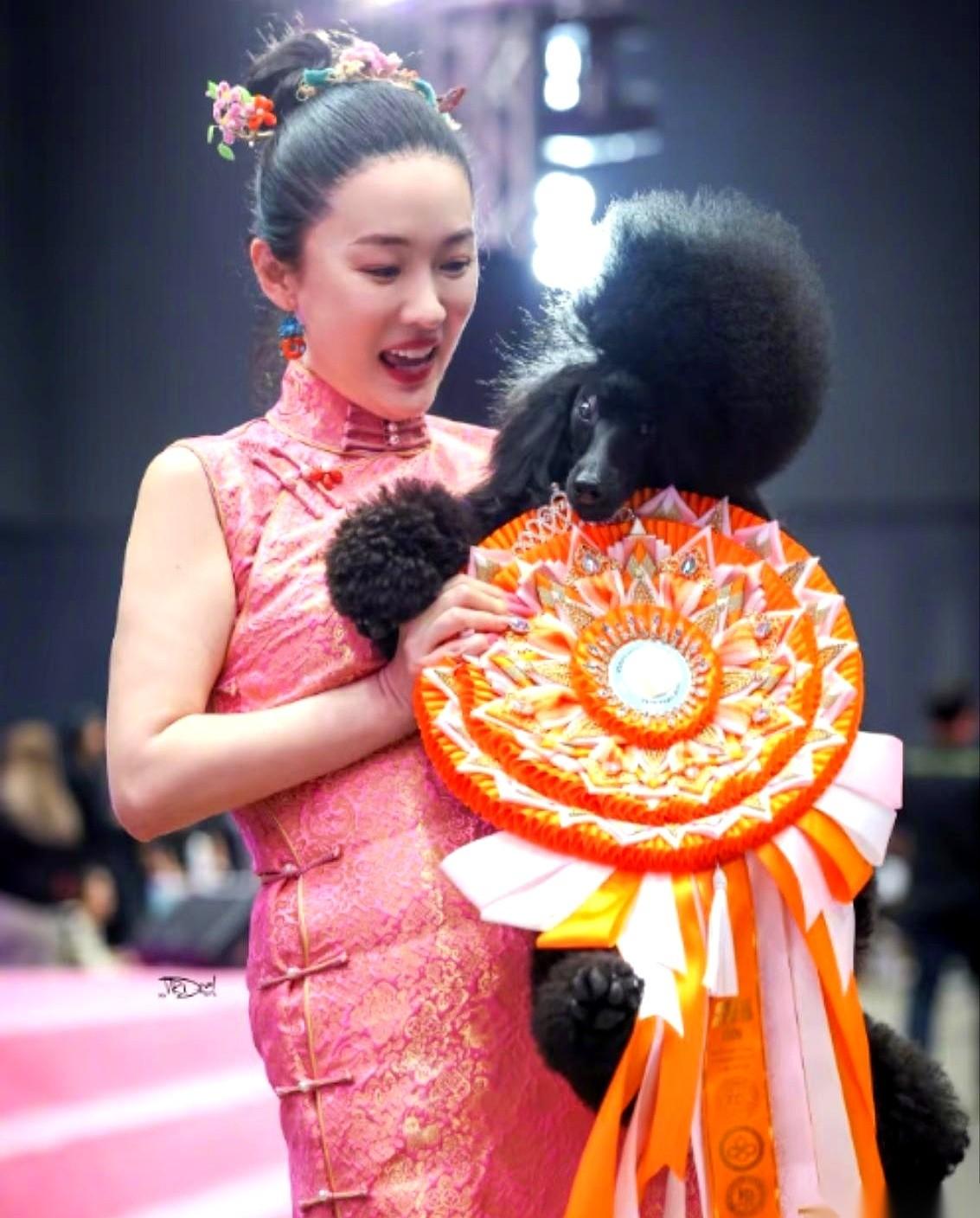 有人把霍思燕那只黑狗霍蜜蜡的照片，发给宠物圈的朋友问价。对面没多话，直接甩过来