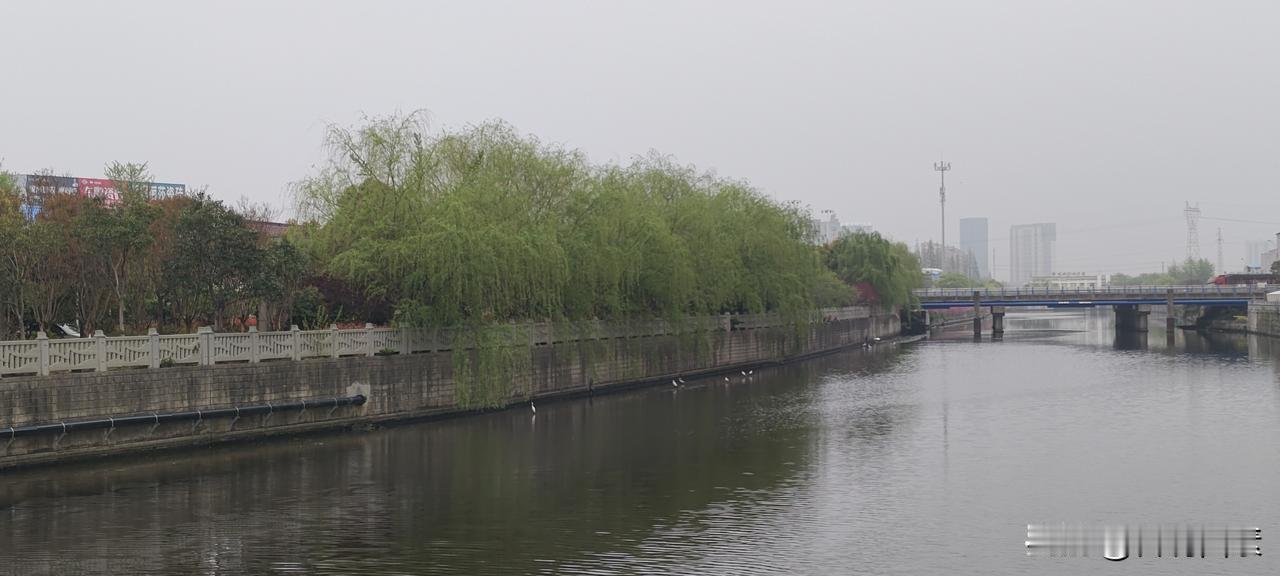 8+16轻断食第四天记录晨跑五公里。早晨8:00吃早餐，一碗芝麻糊，两根春卷