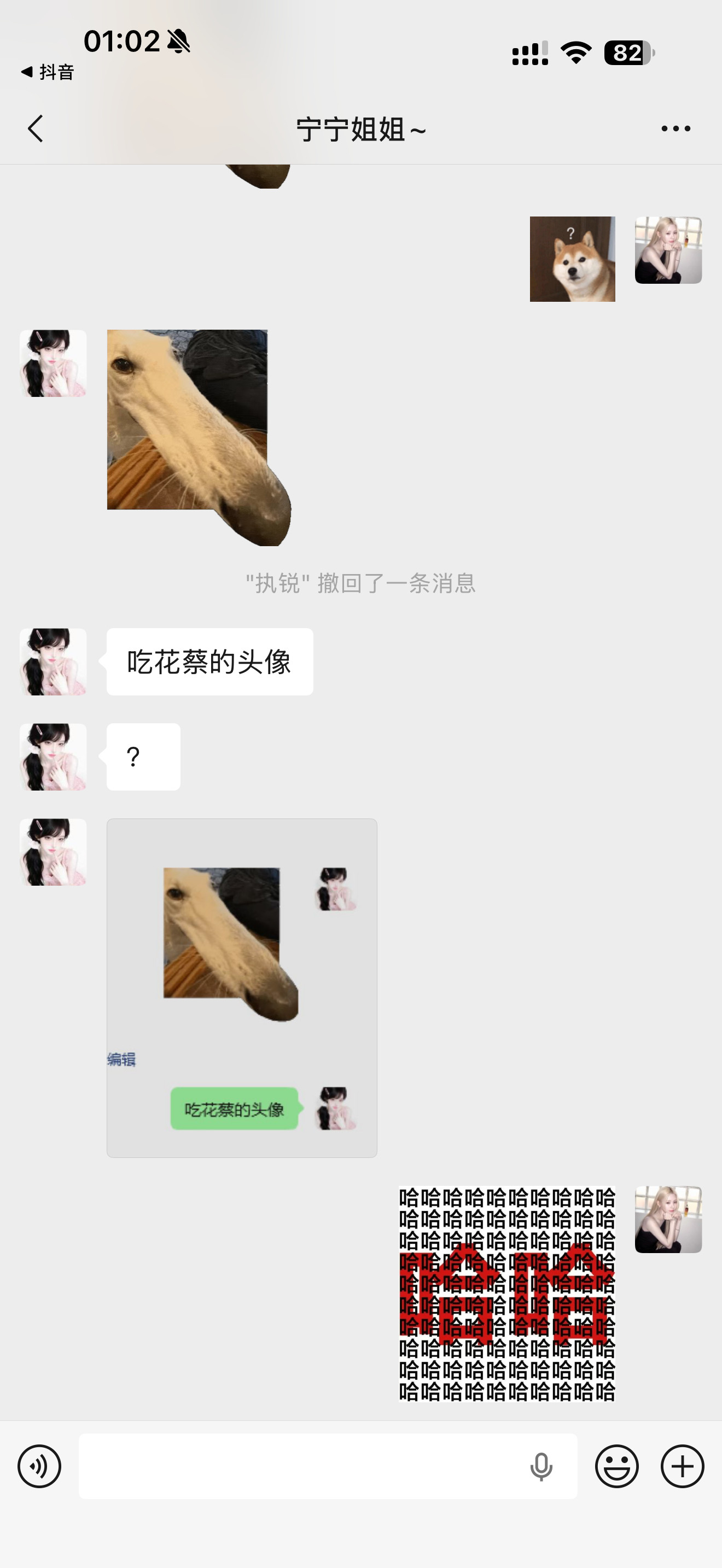 自作孽，不可活