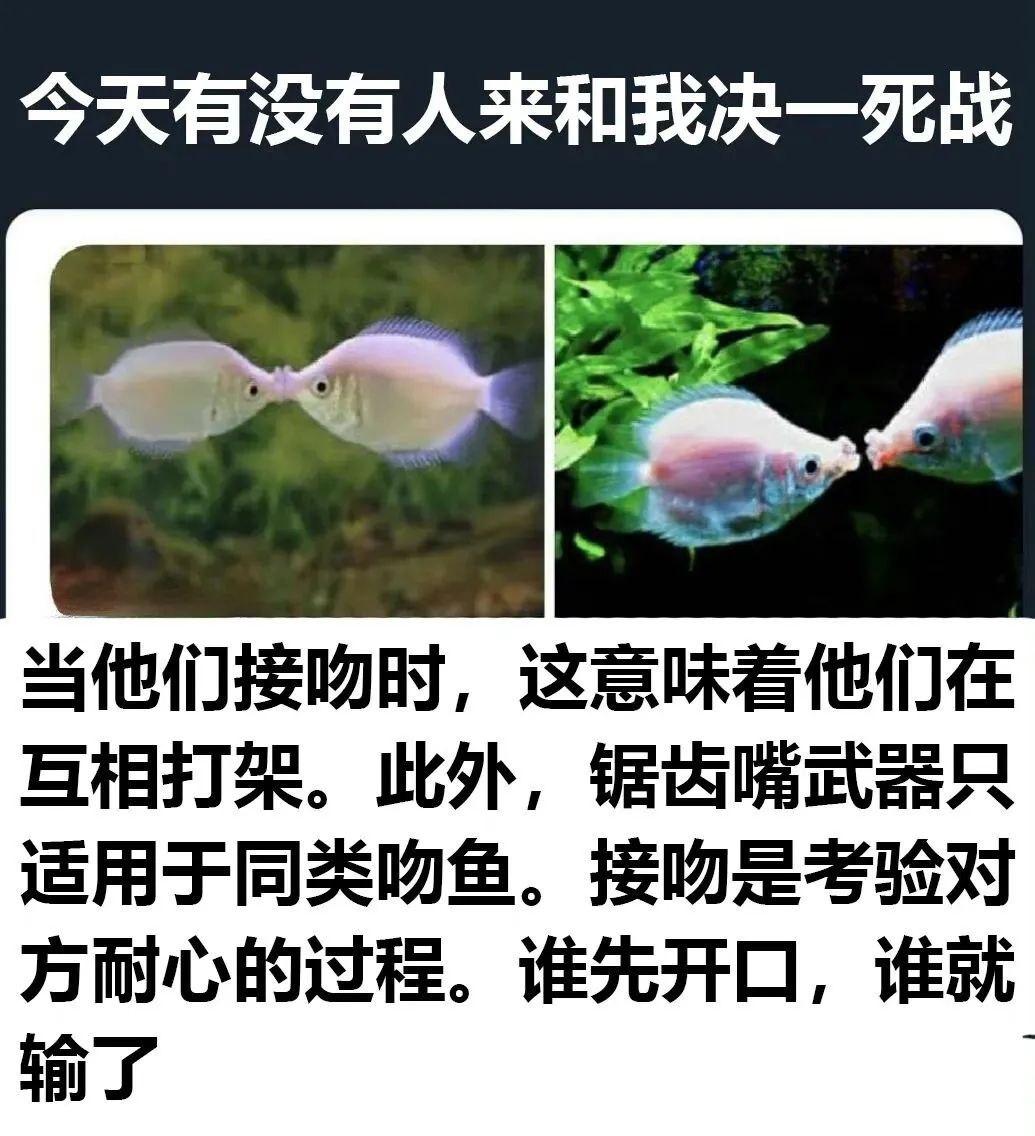 谁先开口，谁就输了
