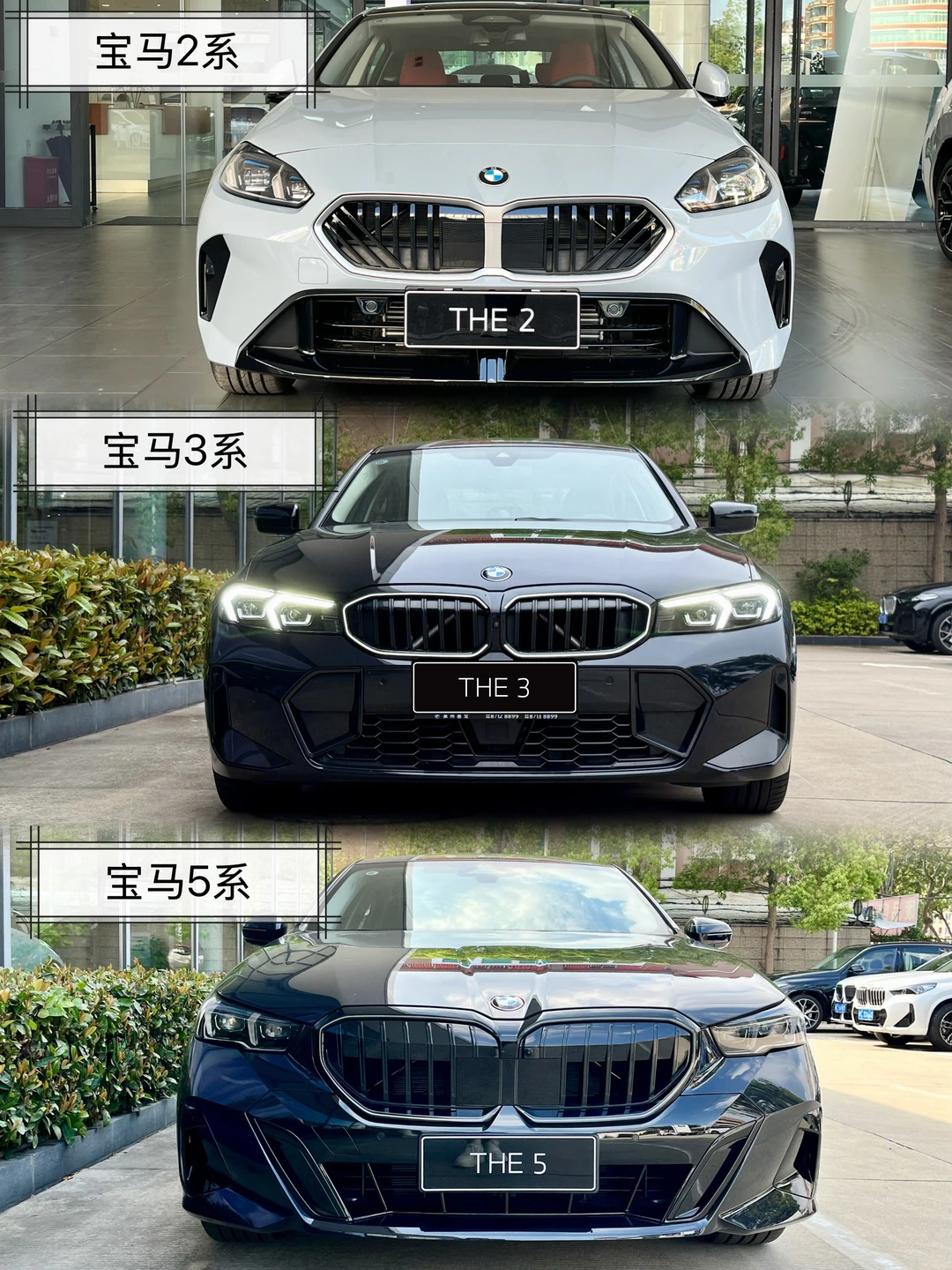 人生的第一台车🚗你会怎么选✨