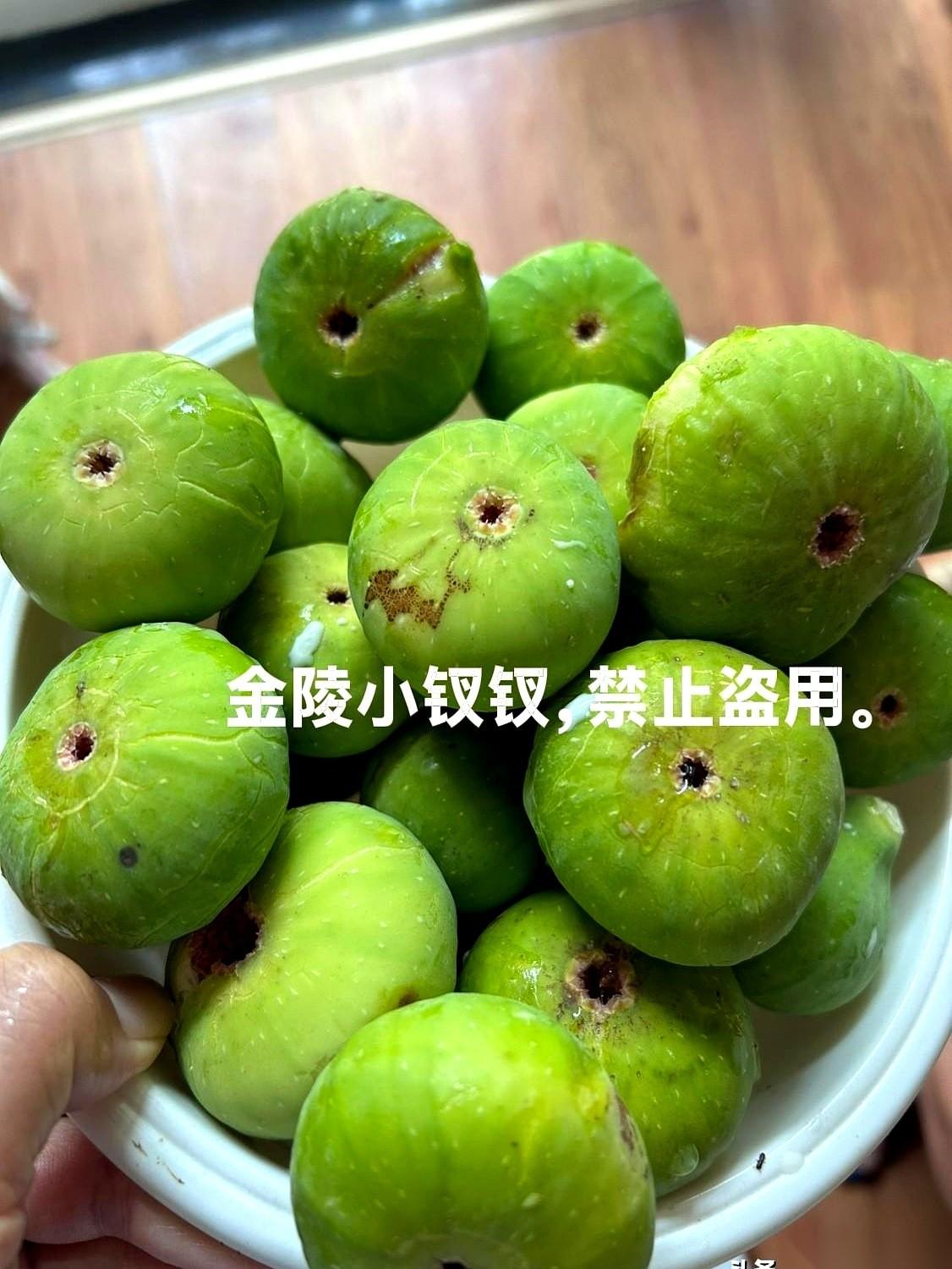 隔壁那套房子空了不知道多久，院子里的无花果树却结疯了。我站在窗前盯了几天，确认铁
