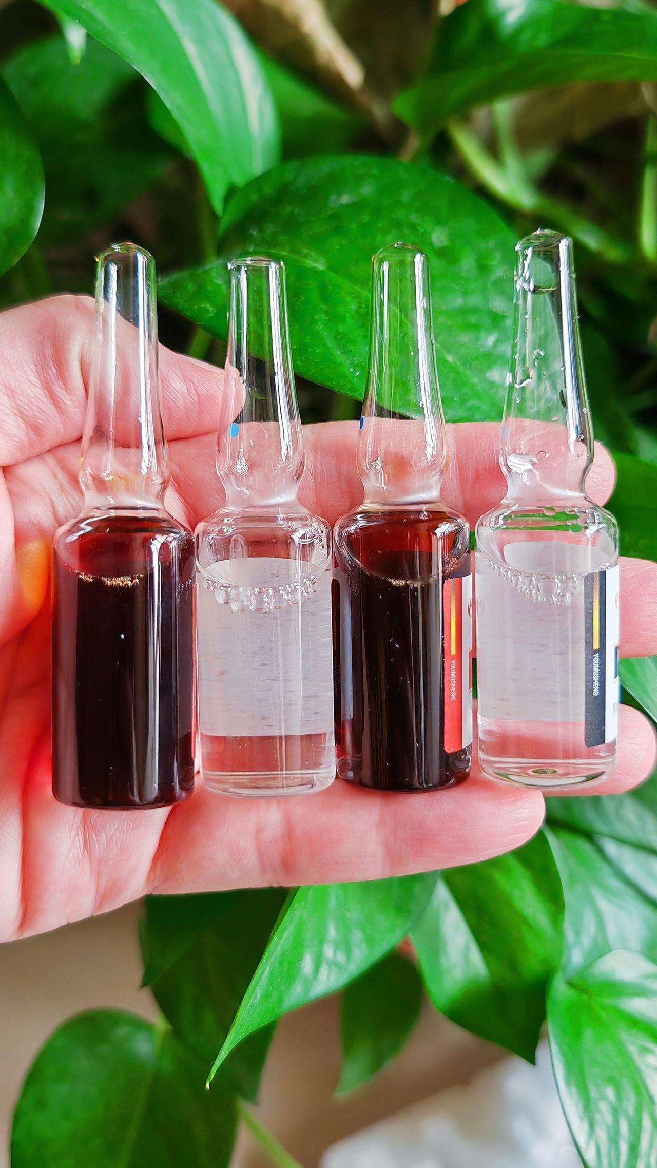 养羊人农村养羊牛羊养殖