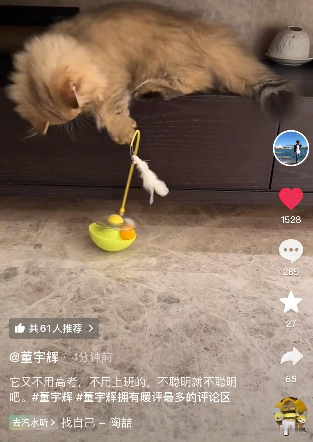 董宇辉这是捅了猫窝了怎么又来一只新小猫[笑着哭]他还用老父亲的口吻炫耀自己的小