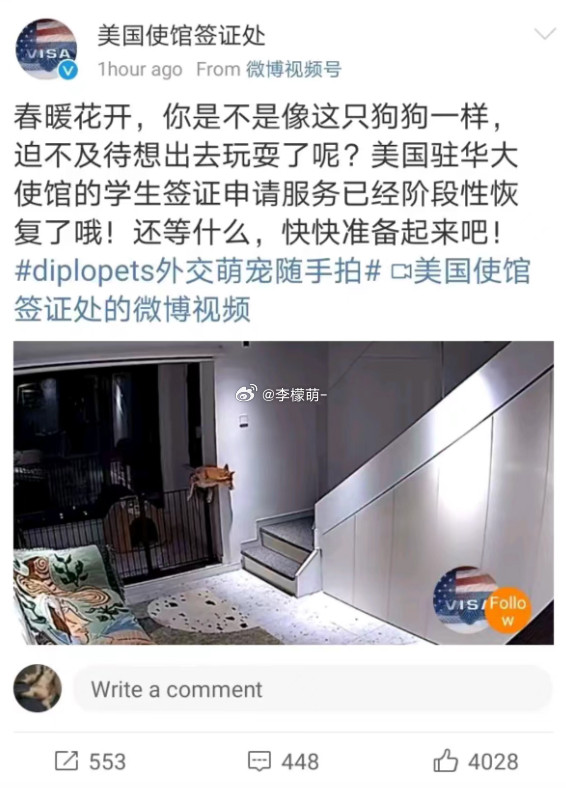 到底是想邀请狗去玩儿，还是人？