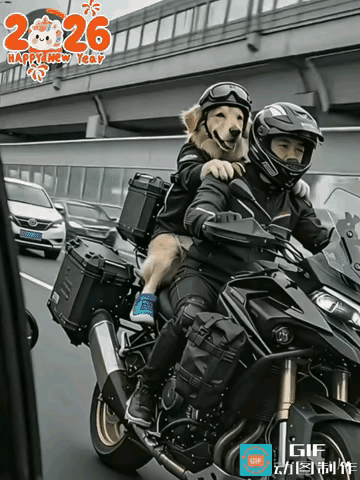 这算不算2026带狗回家最酷版？网友：直接封神！2026带狗狗回家过年，我