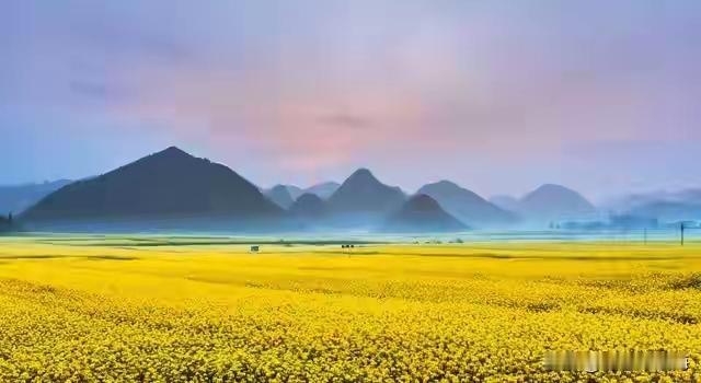 人生如行走在一条崎岖坎坷的道路上，有时我们会迷失方向，有时又会迷失自己。小李曾是