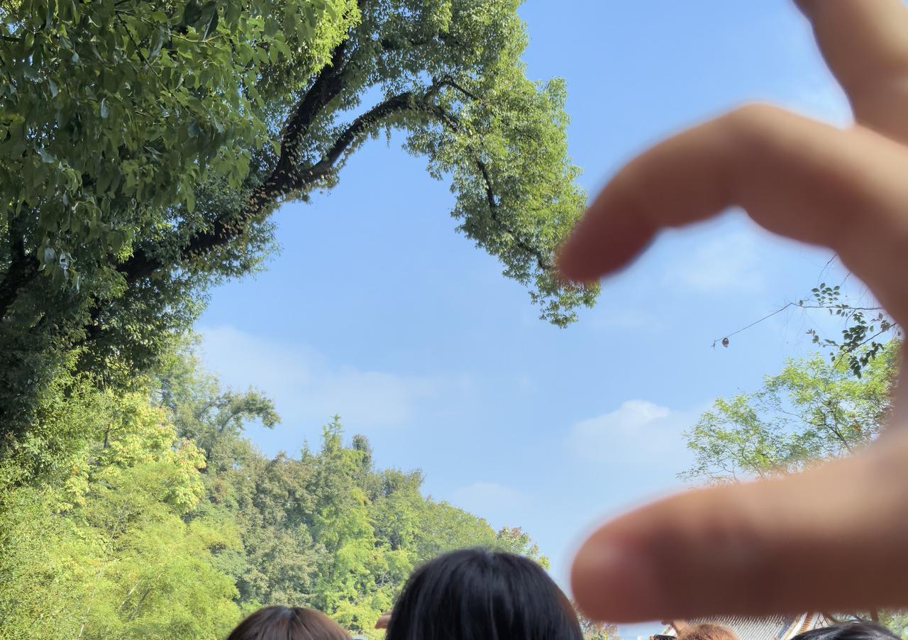 去长沙游玩，避雷不踩坑。一：怎样到长沙？最佳方案：坐高铁，到长沙南站，然