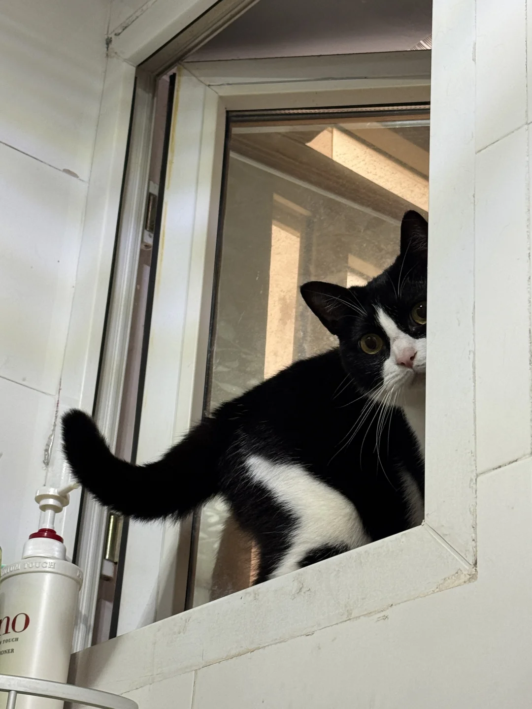 抓到一个偷窥咪