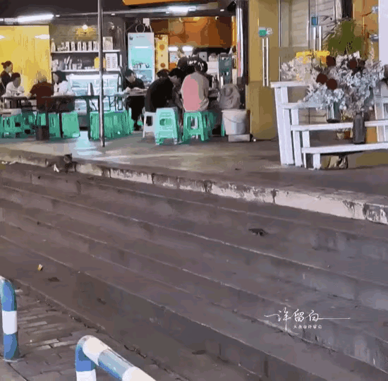 这傻猫，定在那里干嘛