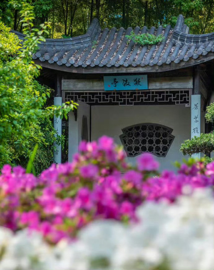 无锡，依山傍湖，藏着秀美的江南园林，和悠久的历史。​​​​