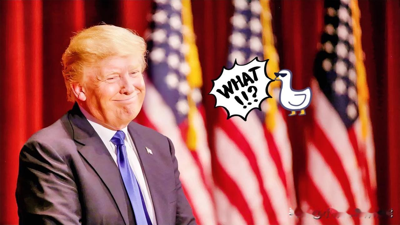 就在昨日里！美国最高法院宣布了！11月11号，老美最高法院又补了一刀，延长