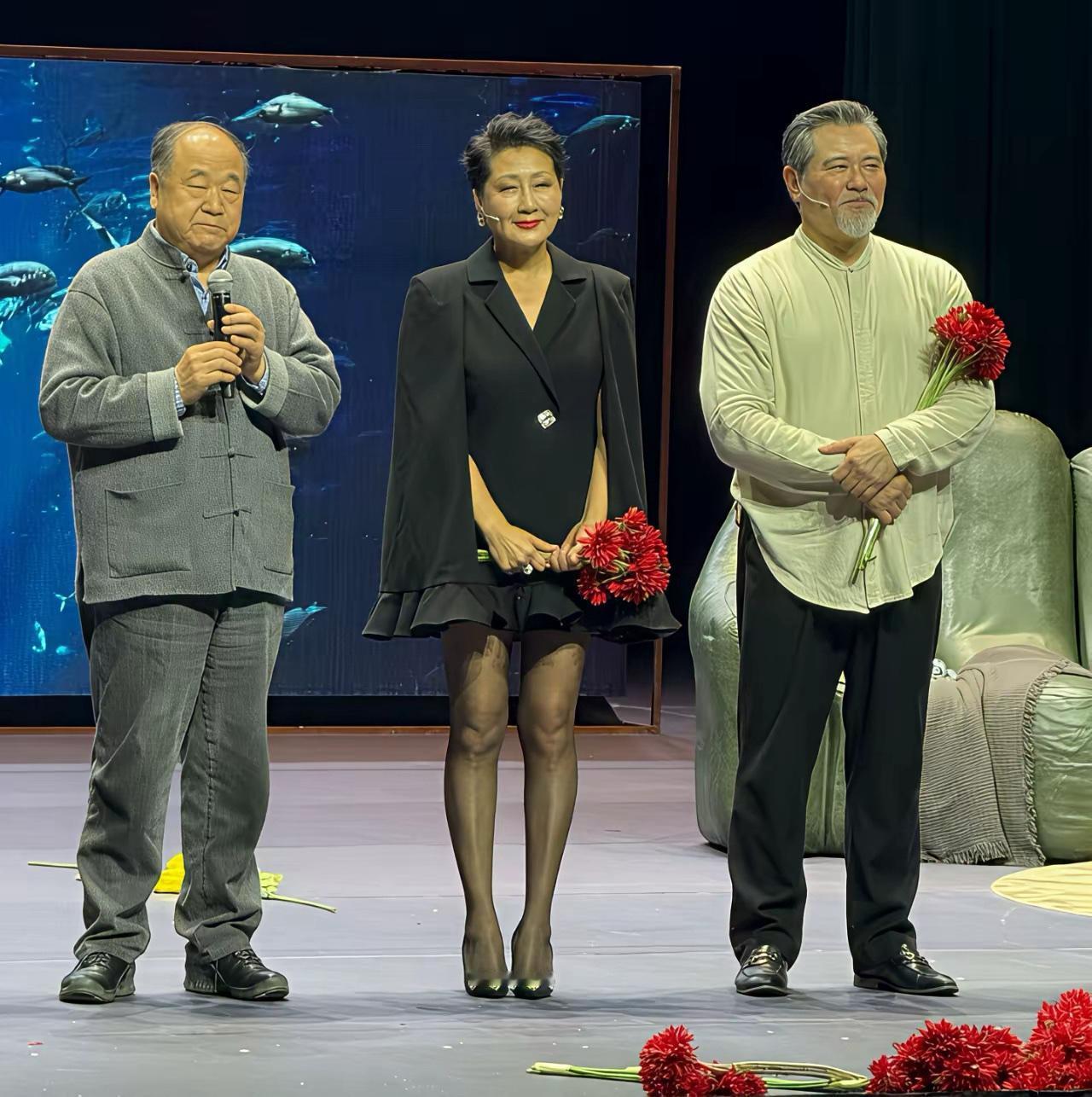 猪老人黄的年纪