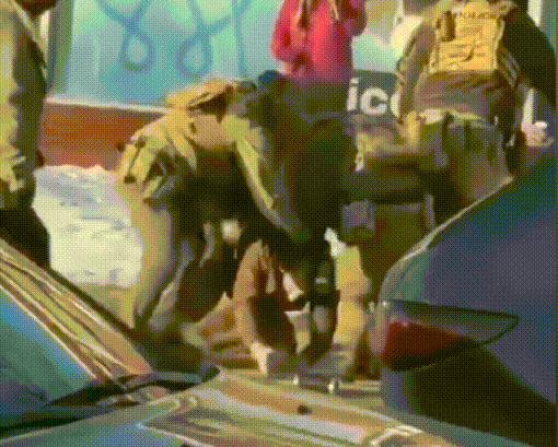 明尼苏达州又出大事，1男子大战7名特工被杀，然后又被继续补枪：美丽风景每一天！