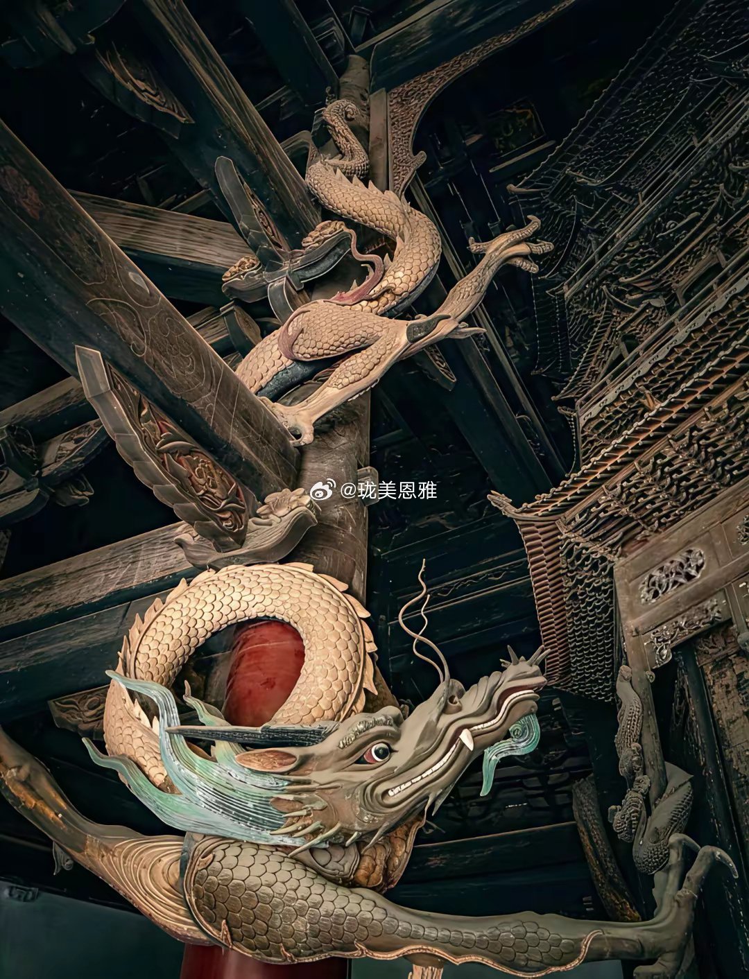 古人绝对是真的见过“龙”