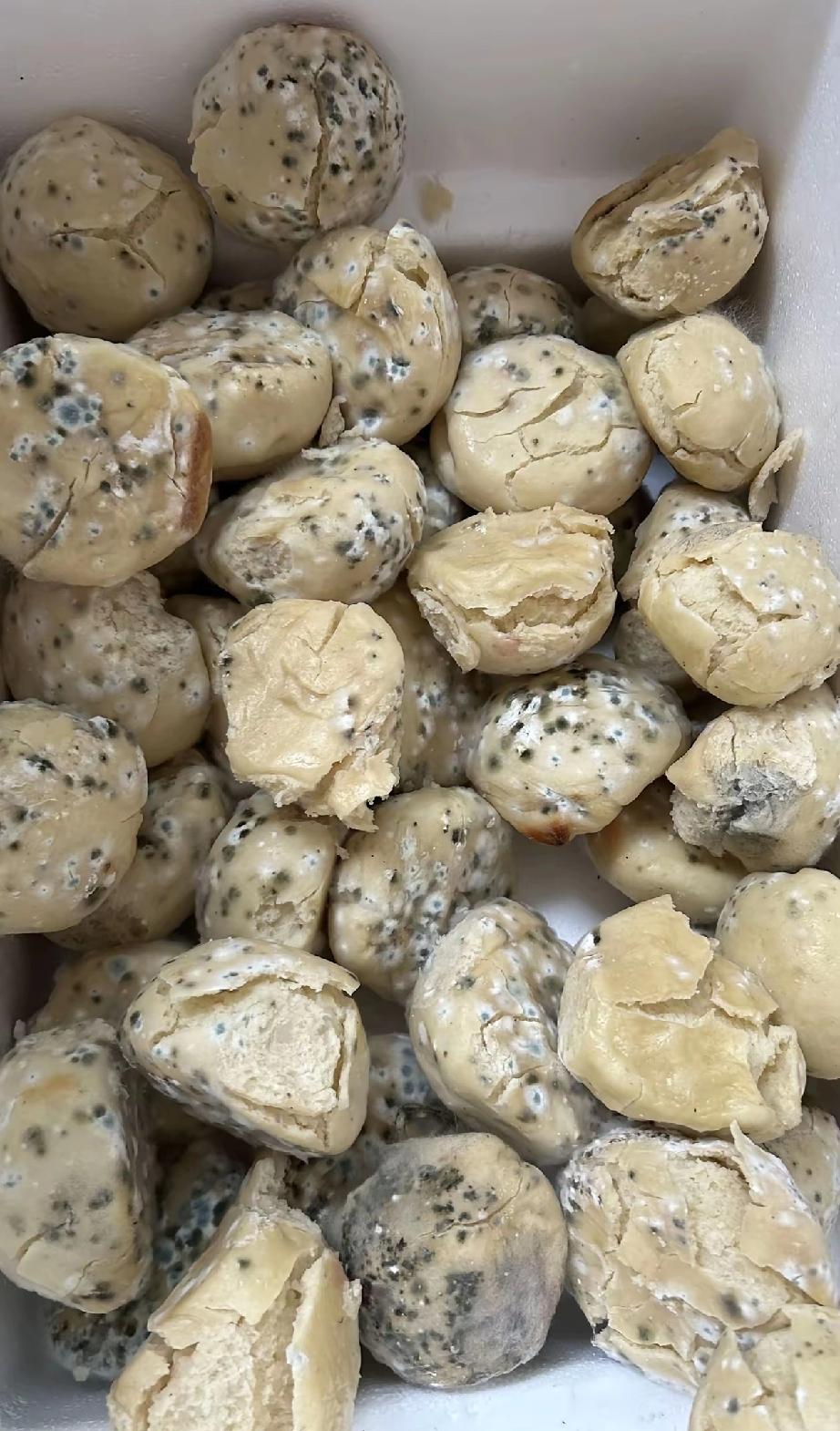 年里面腊月二十六，我妈早早在家蒸了几笼馒头和大馍，准备留着我们春节期间吃的，由于