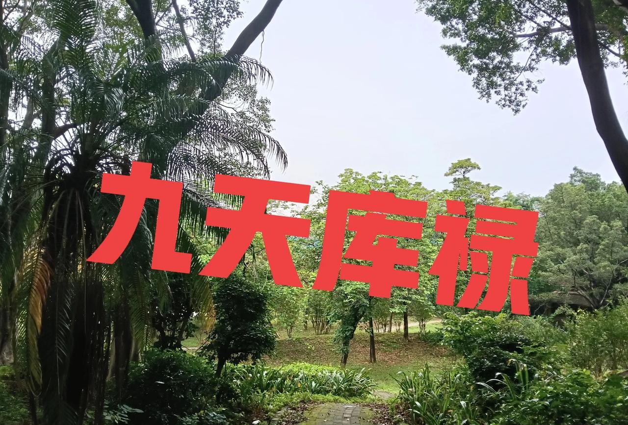 九天库禄源自《五行精纪》的“禄九天”概念，指禄位的后一辰。其核心逻辑是：丙禄