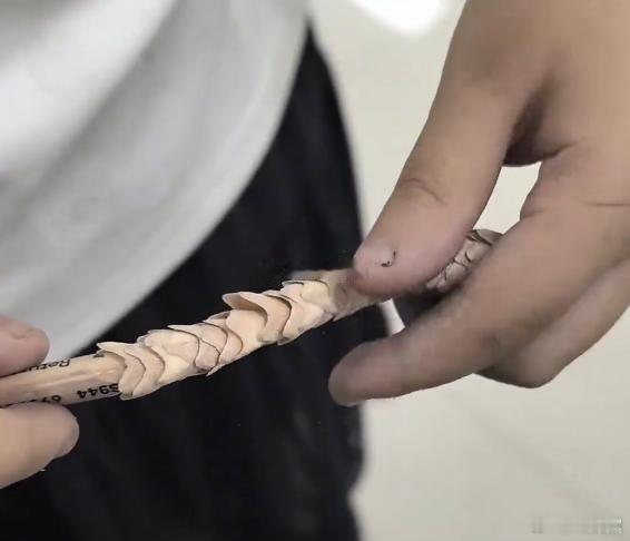 娃将铅笔削成龙鳞家长该先打还是先骂，还是拜师？