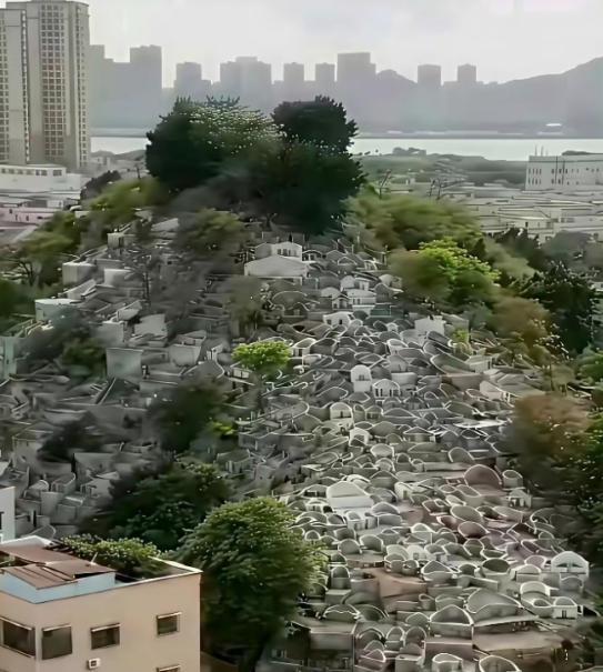 从有土葬开始中国死了几十亿人，耕地也没被塞满！占山头、卖墓穴是从火葬开始的。想想