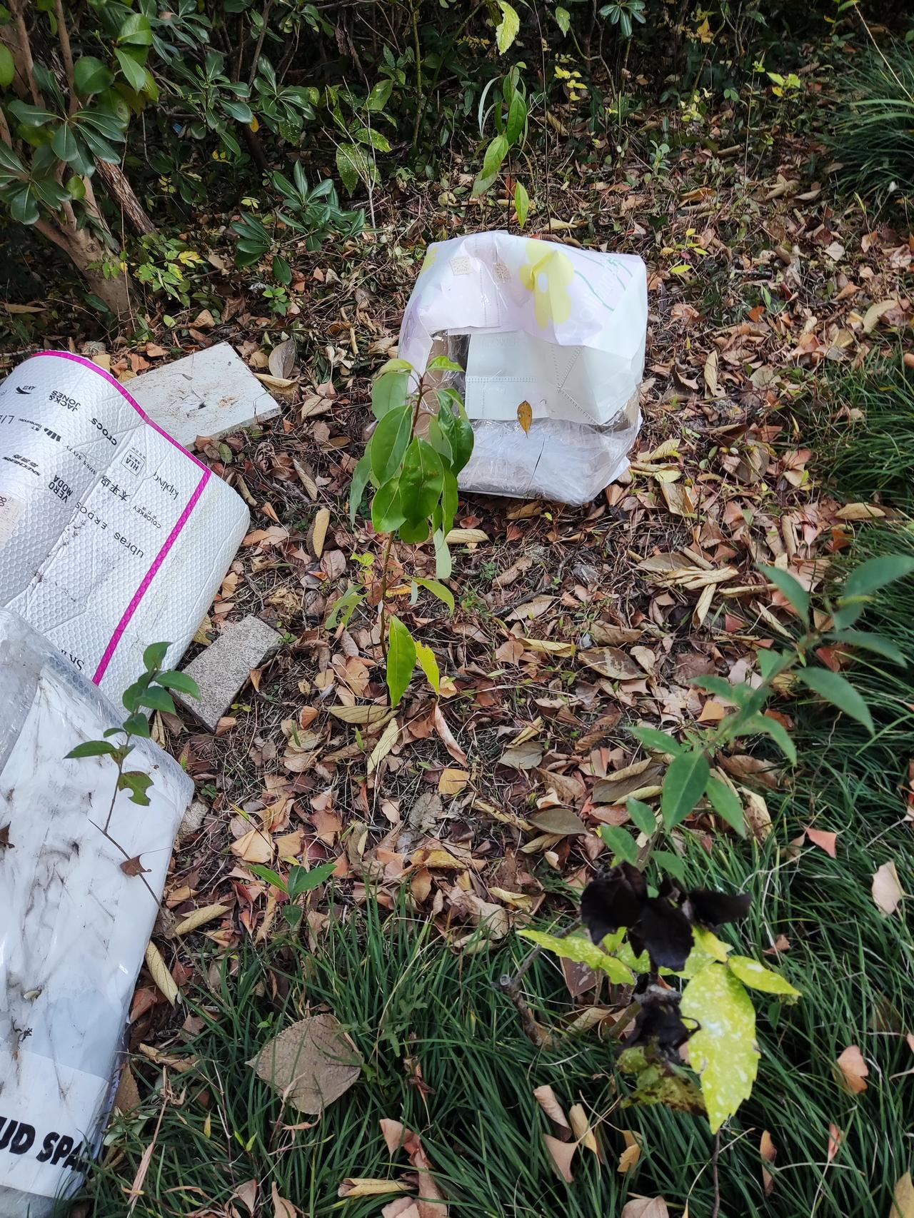 今早起来一看，猫窝又被踩烂，水碗也被扔了。我始终想不明白，猫猫如此可爱，又不会