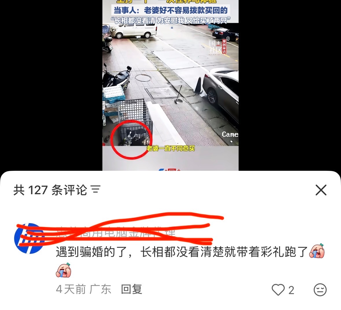视频讲的是一个男的买了鹦鹉刚开箱就飞走了。于是评论区就刷怪了