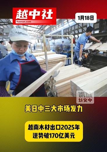 越南木材对美出口94.6亿美元；越南木材对日出口21.5亿美元；越南木材对中