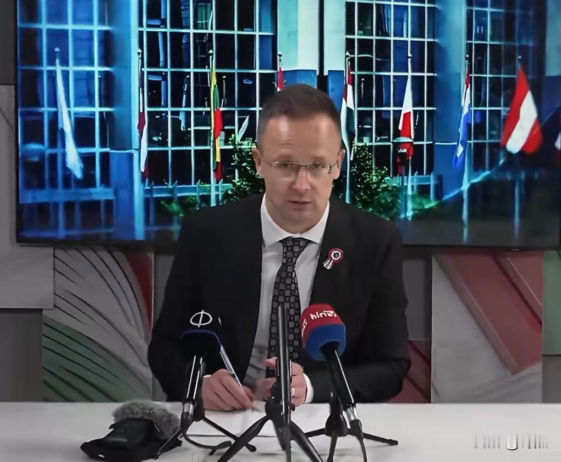 匈牙利不惧德国威胁。当地时间3月16日，匈牙利外长西雅尔多在欧盟发表讲话时说