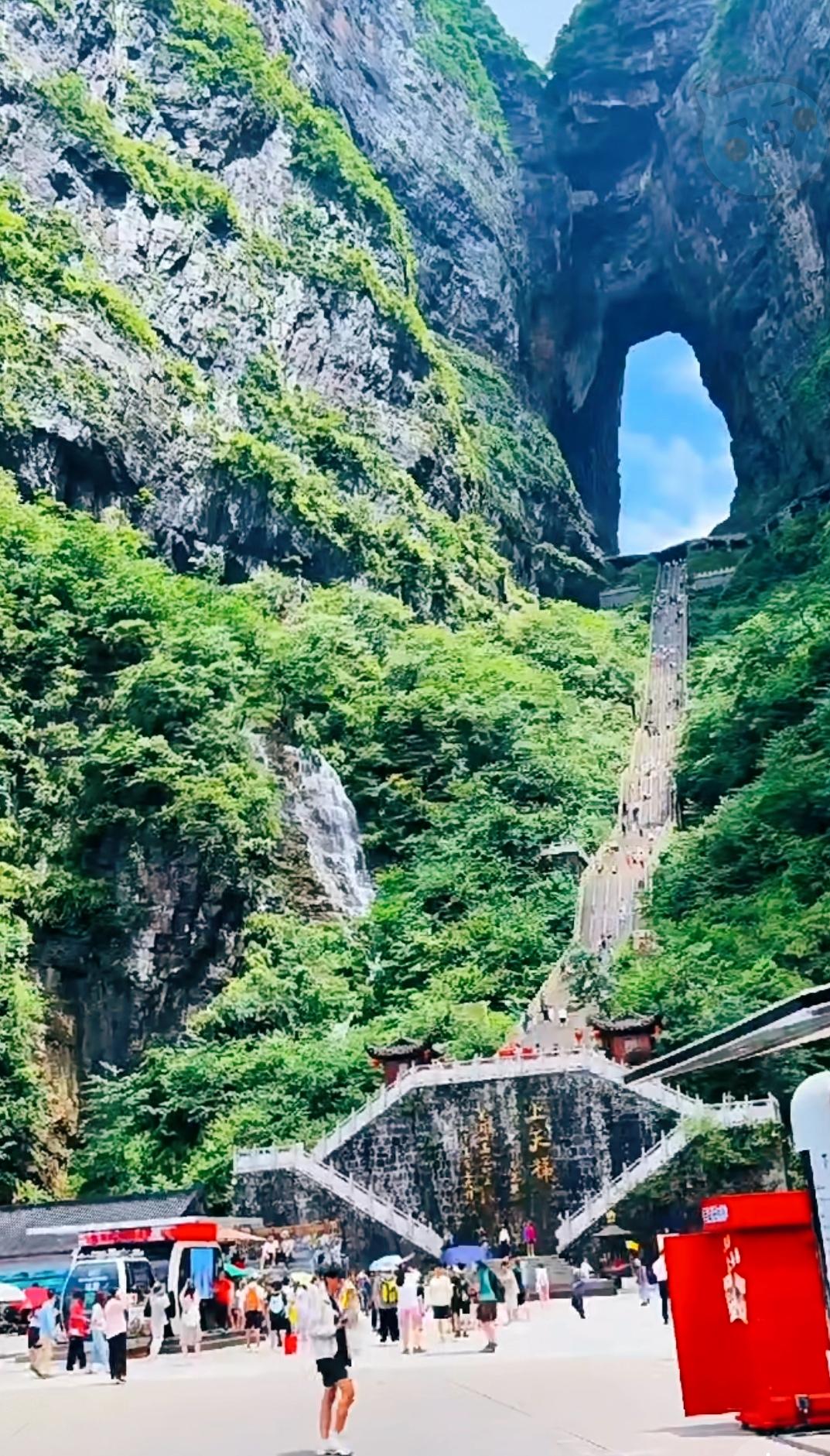 真的被气笑了！按章办事，居然成了原罪？湖南张家界那件事，窗口那位工作人员干了