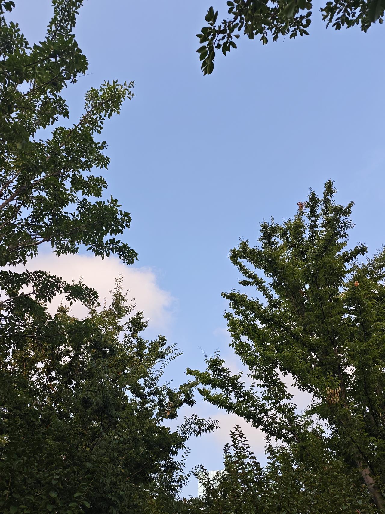 90后的同事刚休完产假回来，身材已经恢复到了产前的状态。是砸钱报的私教课，是花的