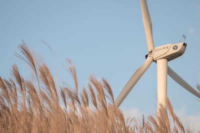 见“风起风息风未语”上联意境瞬间满溢风来风走悄然无声似藏无尽秘密我觉“雁