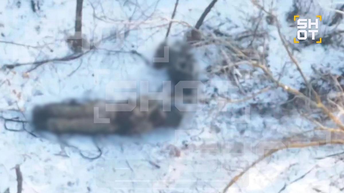 在库皮扬斯克郊区，自年初以来，约有一百名乌克兰士兵冻死自年初以来，在哈尔科夫