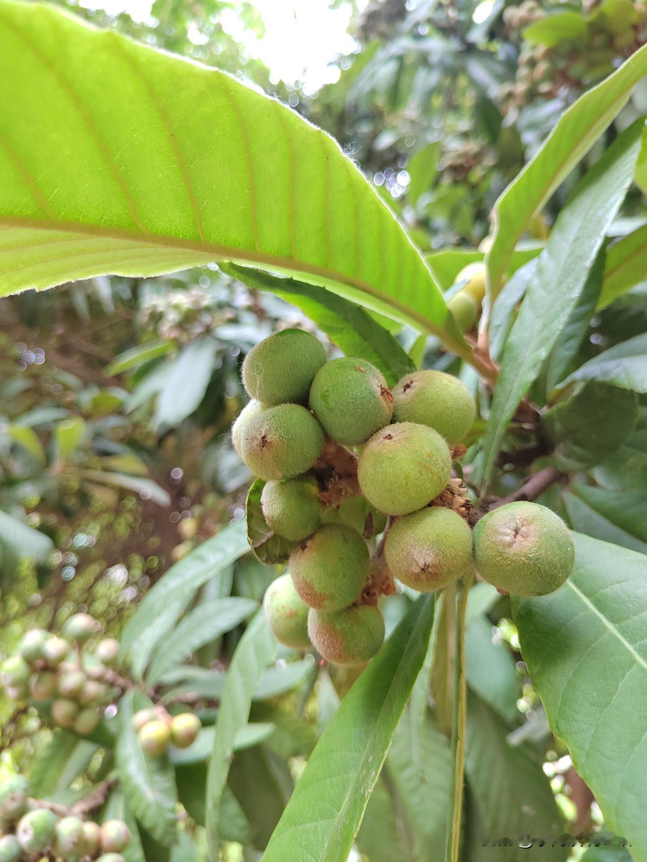 有的人退休后会感到生活无聊。我有个朋友就是这样。她竟然不能适应退休生活。每