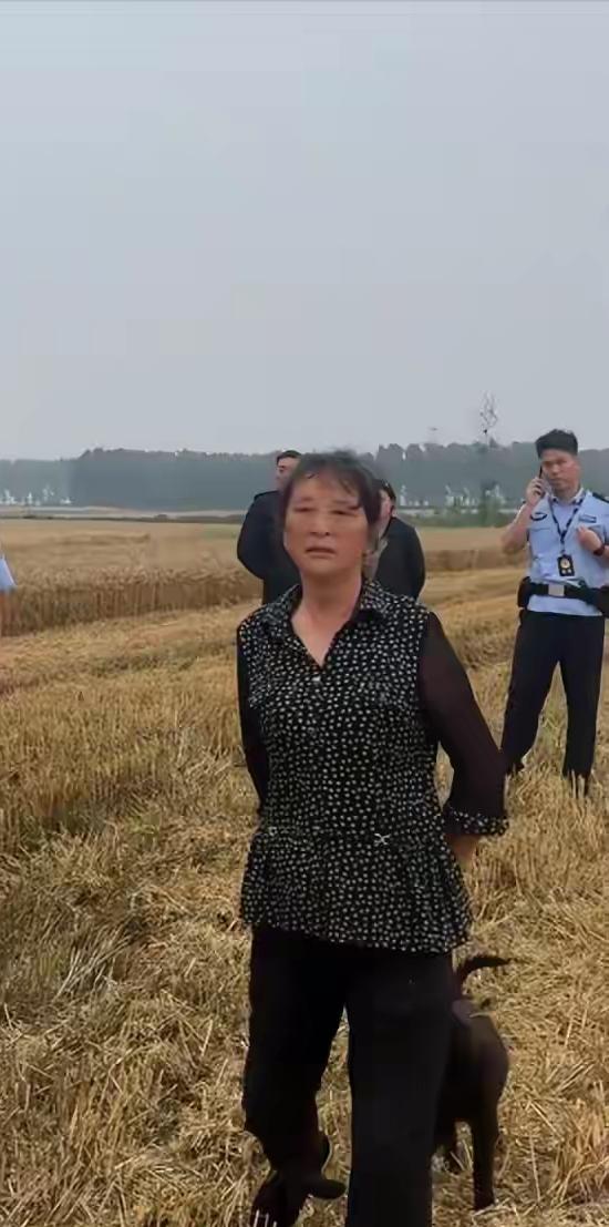 “割四赔五”的大妈，你给襄阳人丢脸了[打脸]近日，湖北襄阳抢收小麦。一对河南