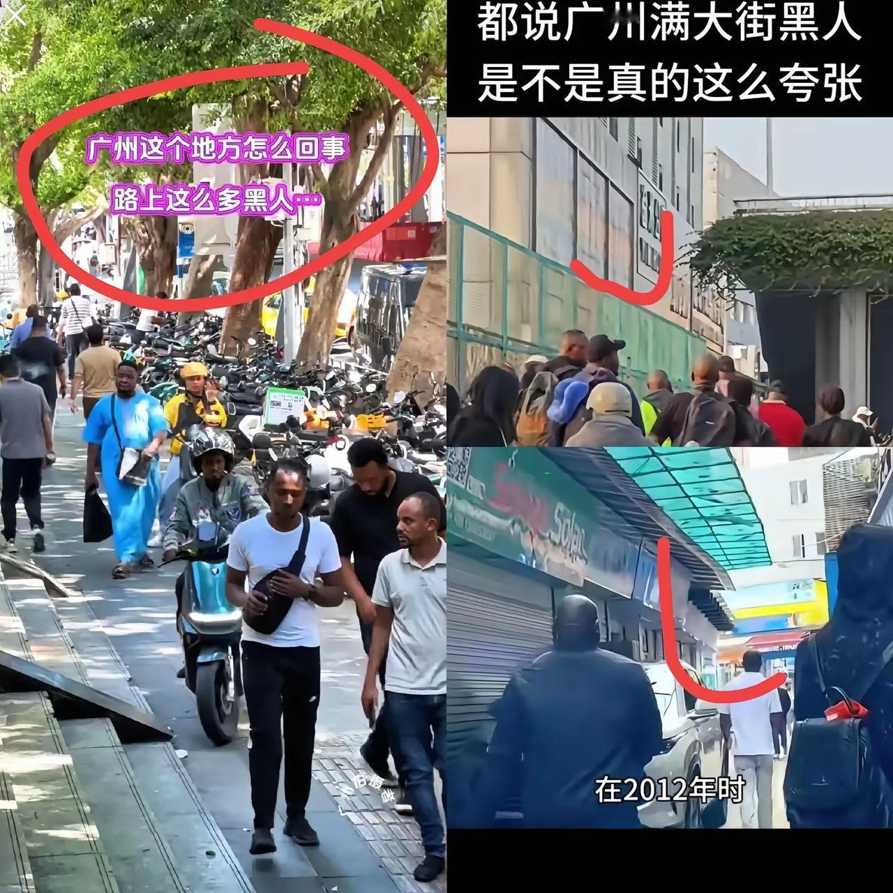 广州重点小学招生风波：外籍孩子占名额引本地家长不满最近广州某重点小学招生，把
