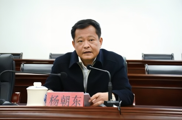 罔顾民生关切, 帮老板违规套取巨额征迁补偿款, 杨朝东被“双开”