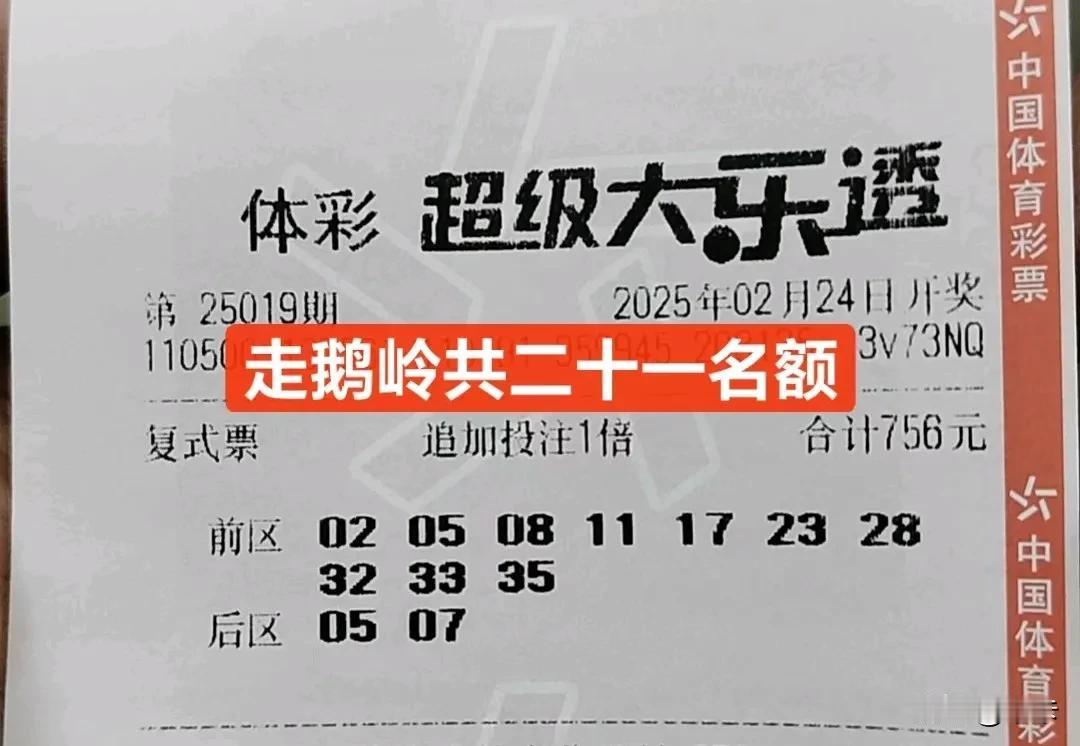 25019期大乐透实票有梦想上鹅岭