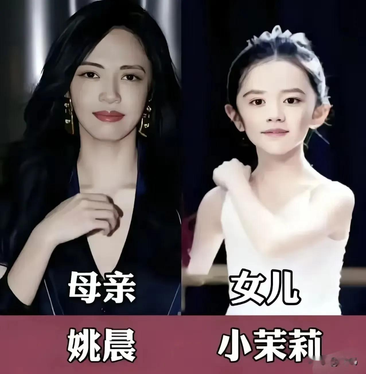 漂亮的明星妈妈有一位美丽动人的女儿，母女越看越有像。姚晨有一位美丽动人的女儿、孙