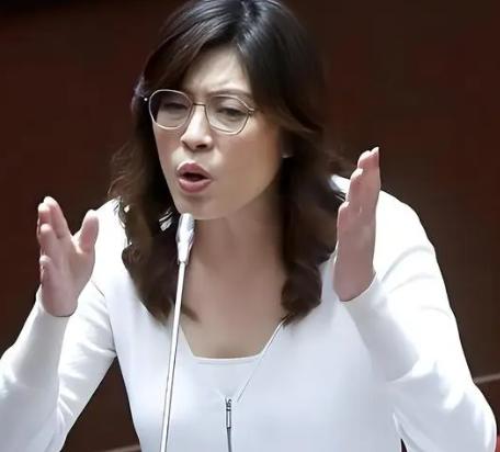 郑丽文胆子真大！她直接放出话来，如果自己当了国民党主席，第一个就是要收拾民进党，