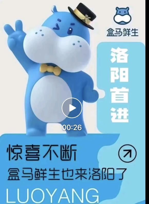 消息不保真，反正海报已经发出来了，盒马首店最终选择了洛阳涧西万达。之前都在传盒