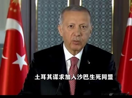 土耳其谋求加入沙巴同盟，想建中东版北约，这背后全是利益的盘算。沙特和巴基斯坦签