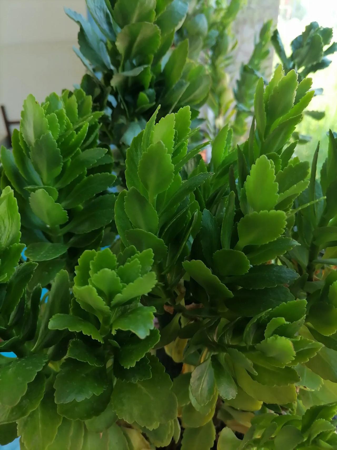 健康是否是人生的最大财富，这一问题引发了广泛讨论。结合多角度分析，可以得出以下结