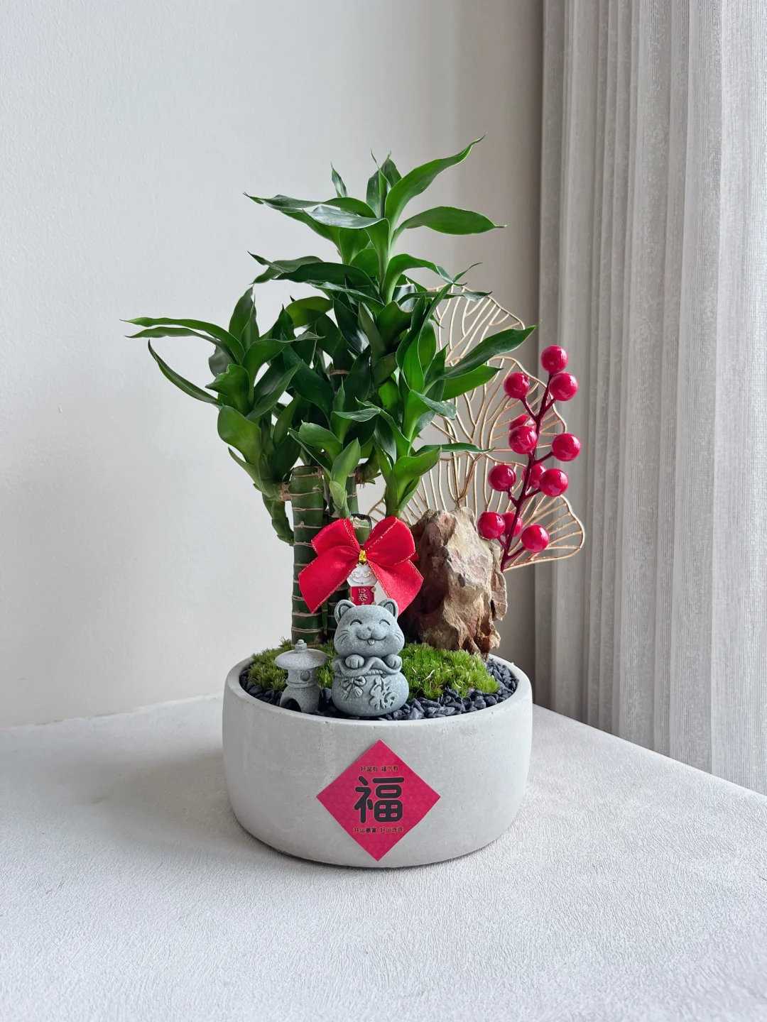 如果你不喜欢 大红大金、塑料感重、看三天就腻的新年植物，那这盆，可能正好是你要的