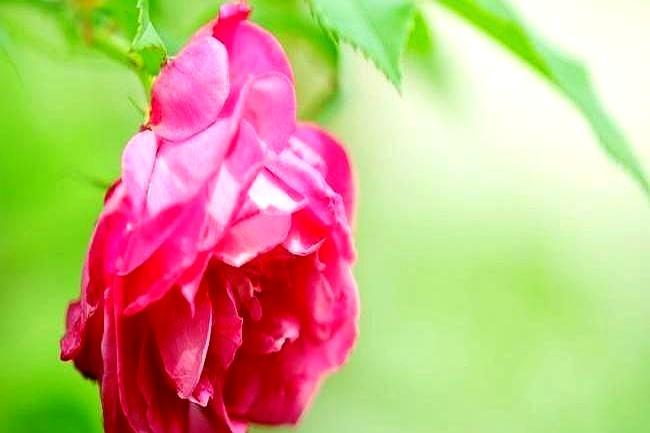 别光怪手气差，脑子先罢工了。连打三圈不挪窝，颈椎僵、腰椎酸，大脑直接开省电