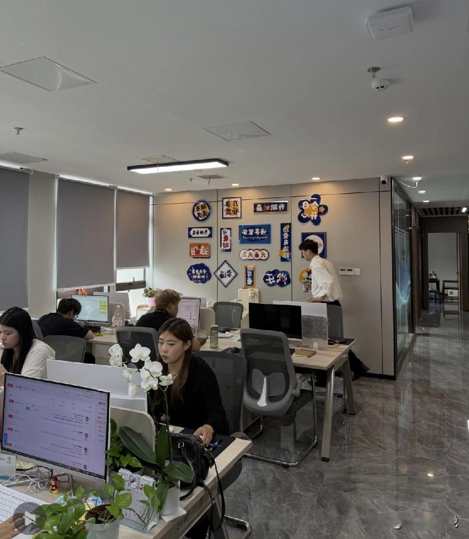 公司一员工在明确表示不接受降薪续约的意愿后，公司为了节省成本，决定招个工资低一点