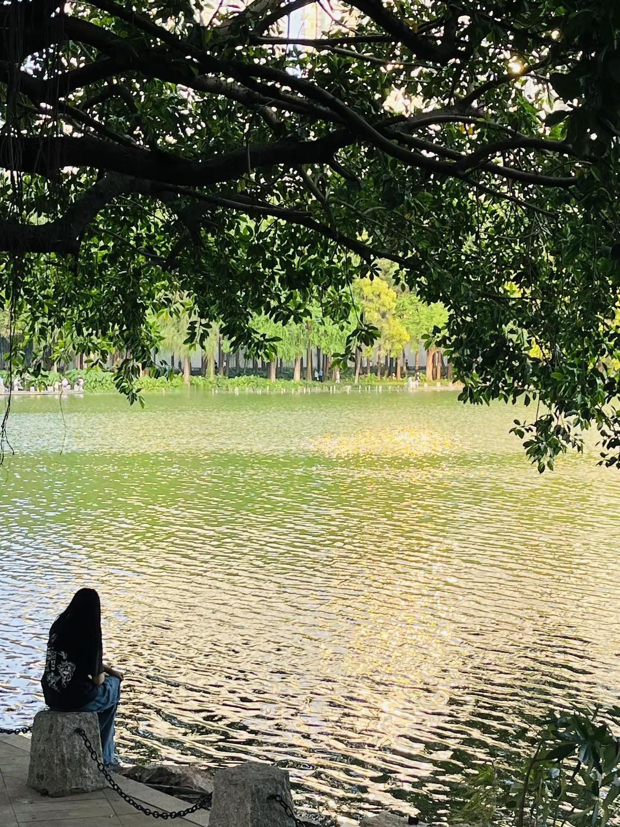 逛公园才是正经事🌳傍晚的洪湖公园～享受大自然逛公园才是正经事深圳公园洪