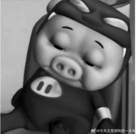 妈的装修的钱已经能买一辆奥迪Q5L了